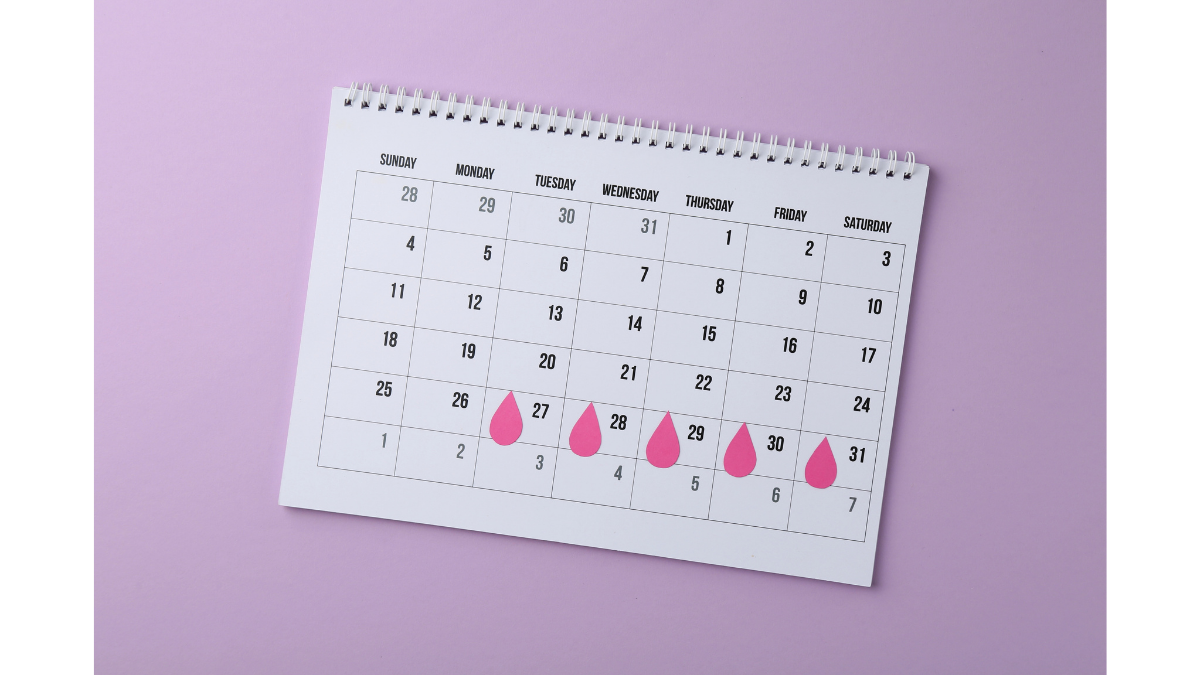 Adet takvimi hesaplama döngü takibi